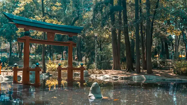 Cómo llegar al Parque Japonés
