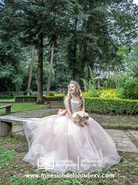 Desierto de los Leones